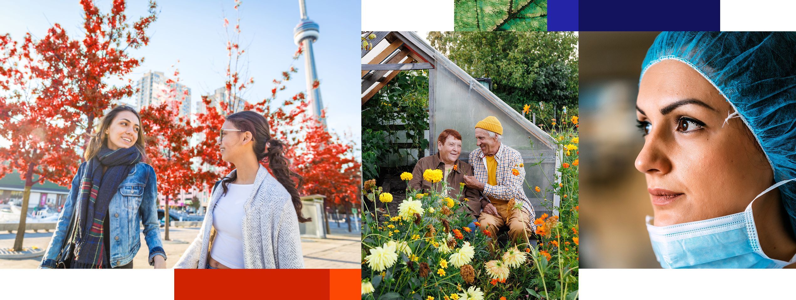 Our Culture Lifestyle Collage